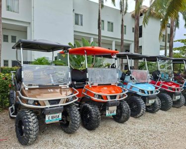 Road Runner Golf Cart Rental